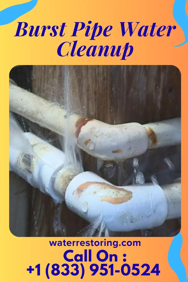 Burst Pipe Water Cleanup in Creekside, PA
