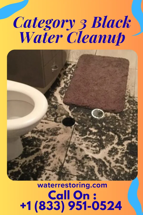 Category 3 Black Water Cleanup in Creekside, PA