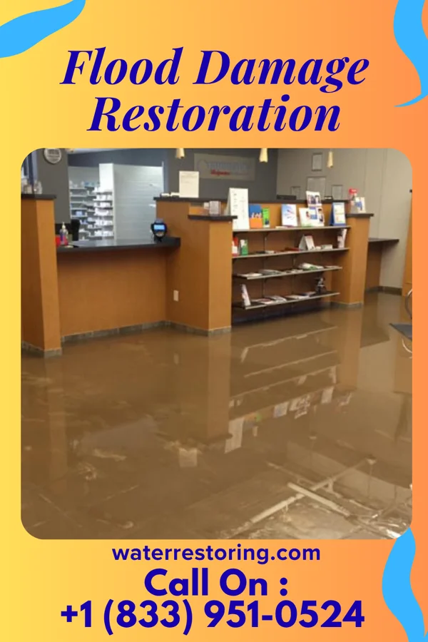 Flood Damage Restoration in Creekside, PA