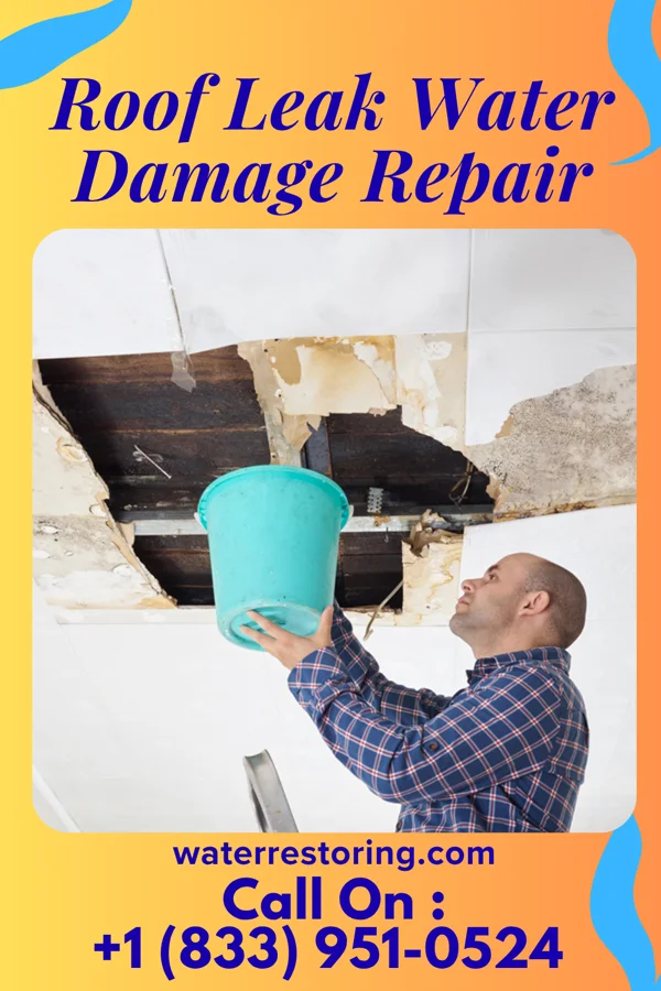 Roof Leak Water Damage Repair in Creekside, PA