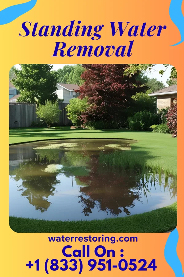 Standing Water Removal in Creekside, PA